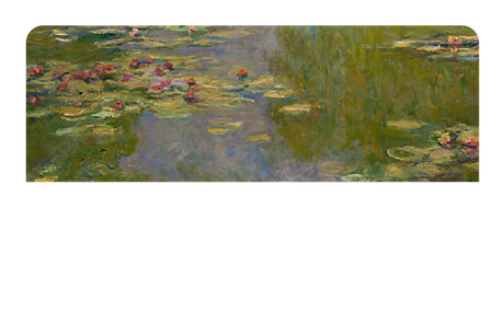 Water Lilies