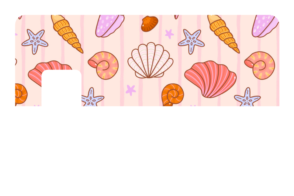 Seashells