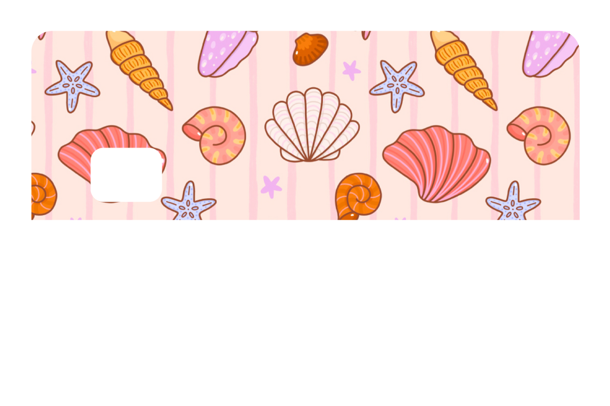 Seashells