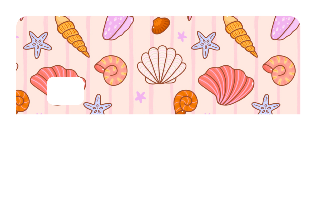 Seashells