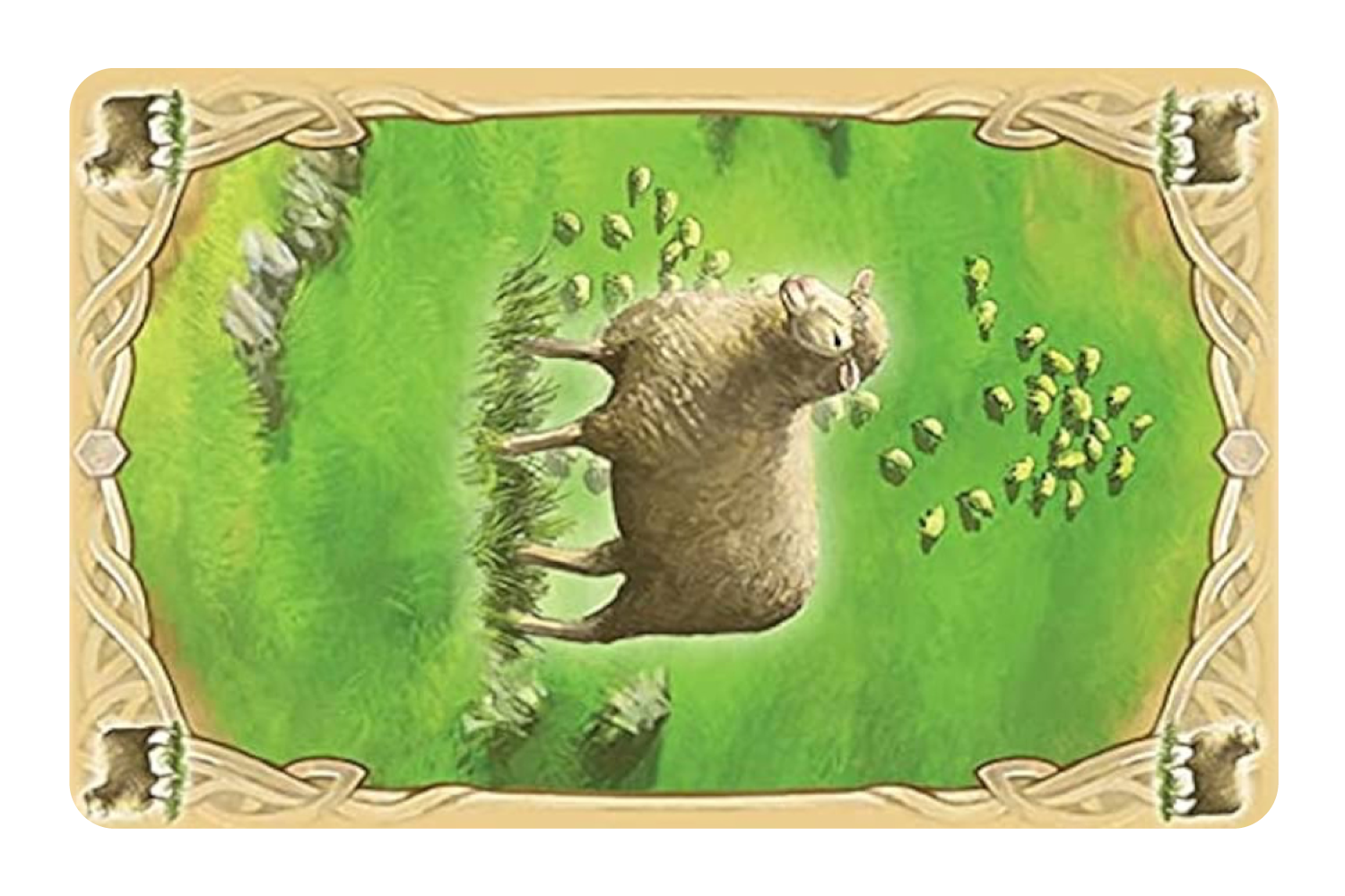 Sheep Resource