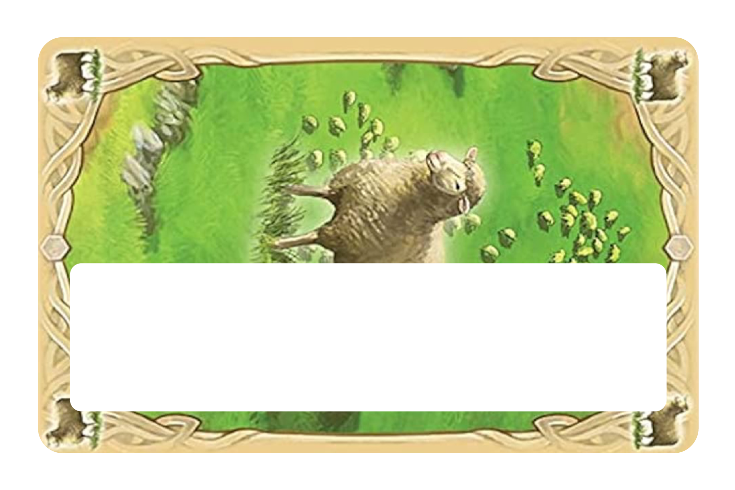 Sheep Resource