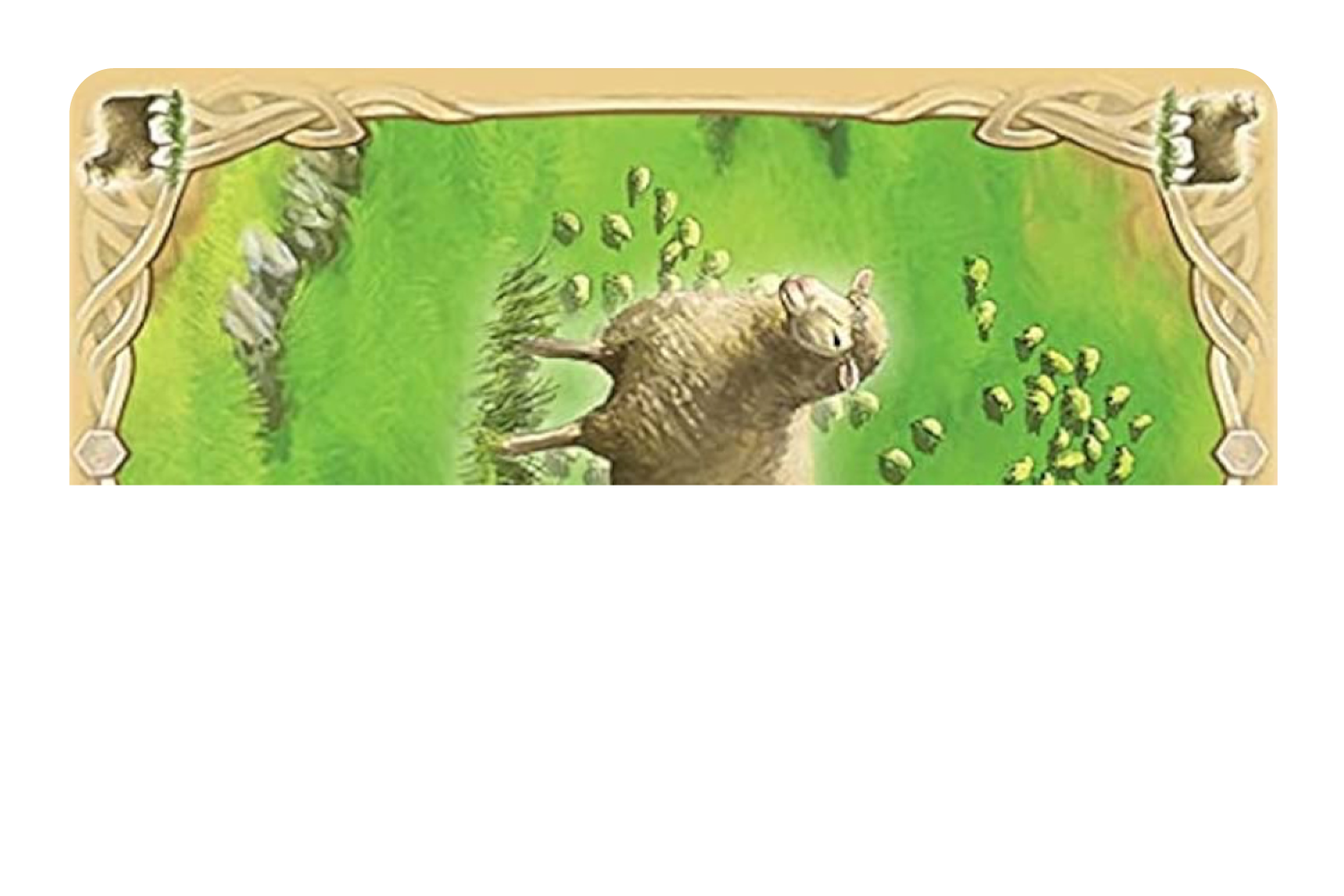 Sheep Resource