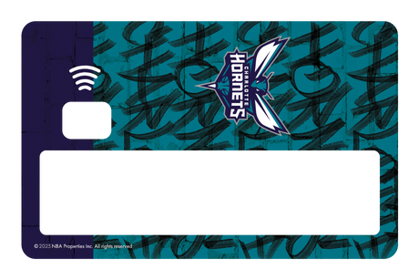 Charlotte Hornets: In The Paint