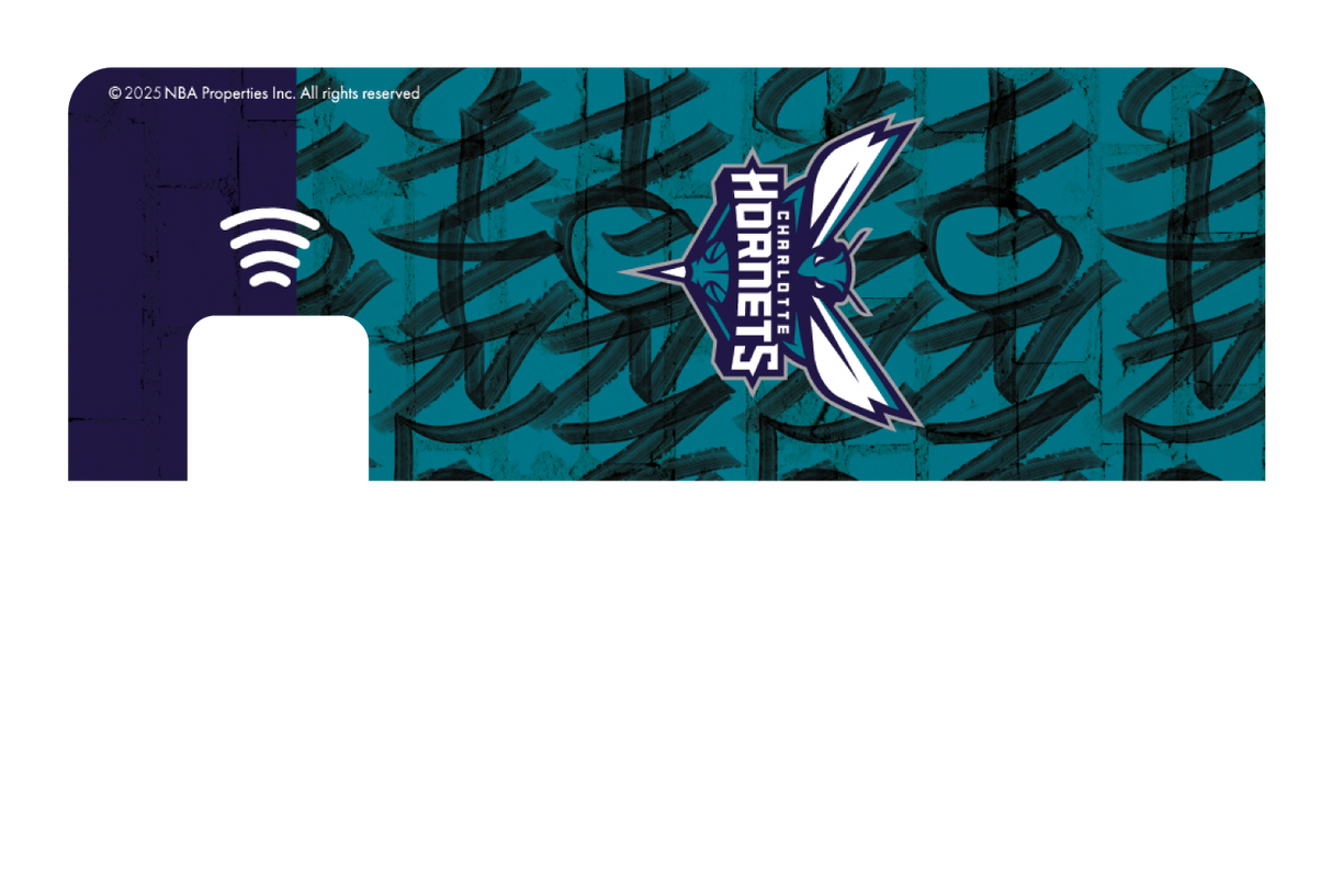 Charlotte Hornets: In The Paint