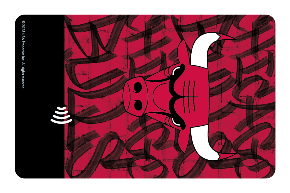 Chicago Bulls: In The Paint