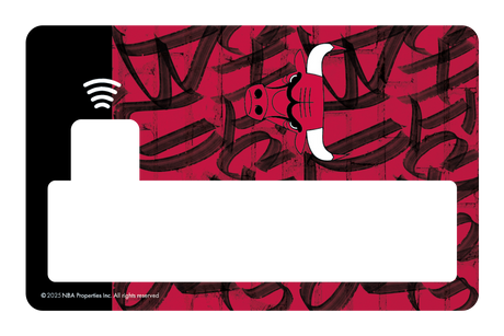 Chicago Bulls: In The Paint