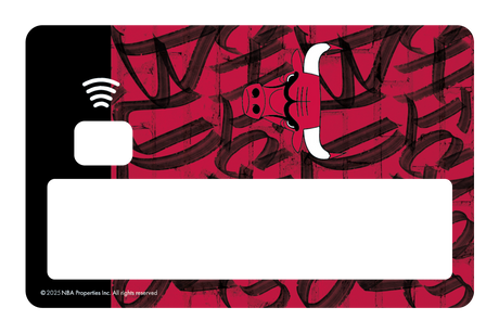 Chicago Bulls: In The Paint