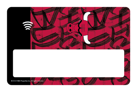 Chicago Bulls: In The Paint