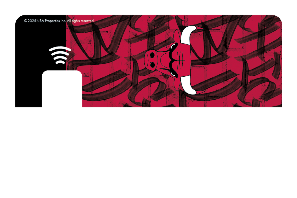 Chicago Bulls: In The Paint