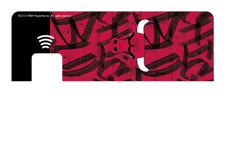 Chicago Bulls: In The Paint