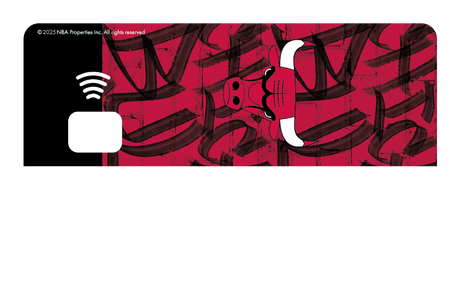 Chicago Bulls: In The Paint