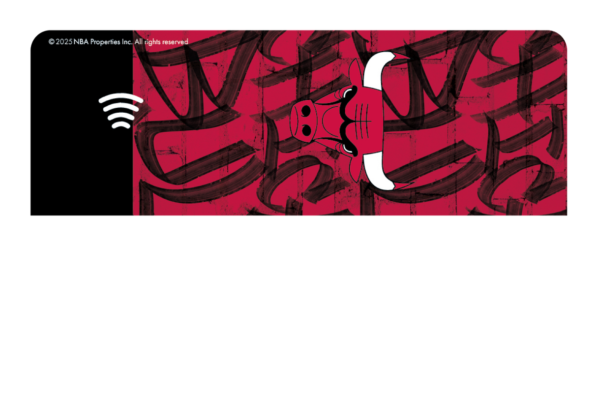 Chicago Bulls: In The Paint