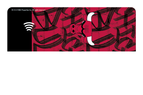 Chicago Bulls: In The Paint