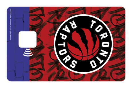 Toronto Raptors: In The Paint