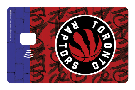 Toronto Raptors: In The Paint
