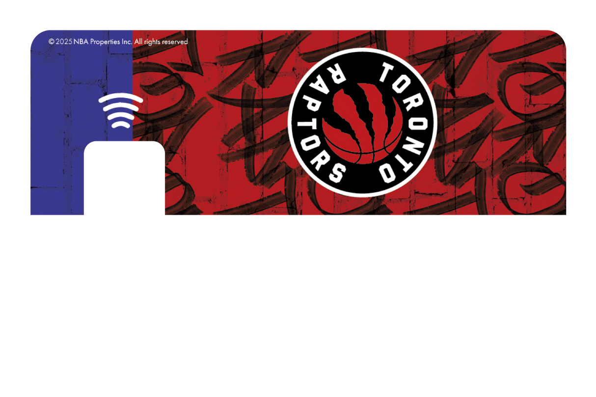 Toronto Raptors: In The Paint