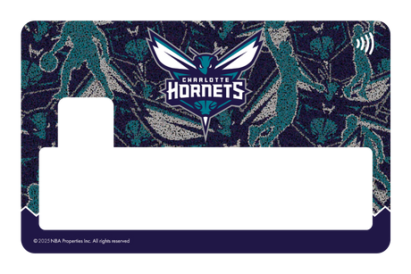 Charlotte Hornets: Hoop Dreams