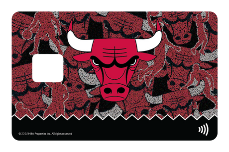 Chicago Bulls: Hoop Dreams