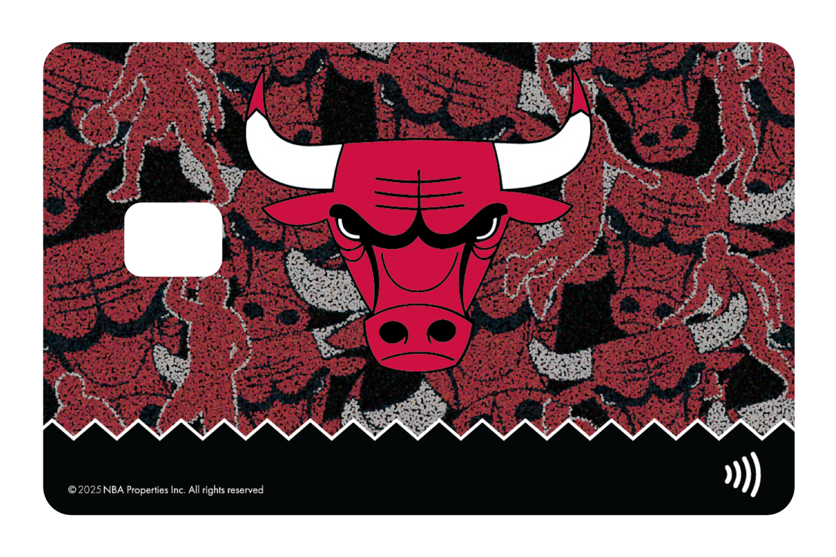 Chicago Bulls: Hoop Dreams