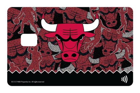 Chicago Bulls: Hoop Dreams