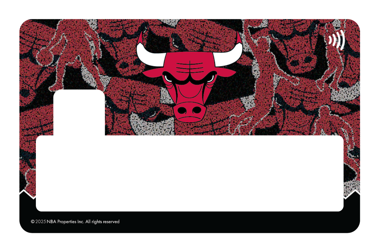 Chicago Bulls: Hoop Dreams