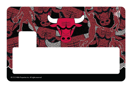 Chicago Bulls: Hoop Dreams