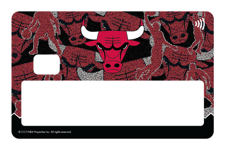 Chicago Bulls: Hoop Dreams