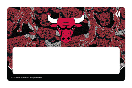 Chicago Bulls: Hoop Dreams