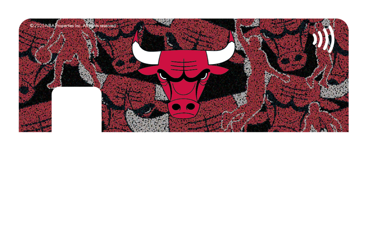 Chicago Bulls: Hoop Dreams