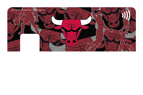 Chicago Bulls: Hoop Dreams