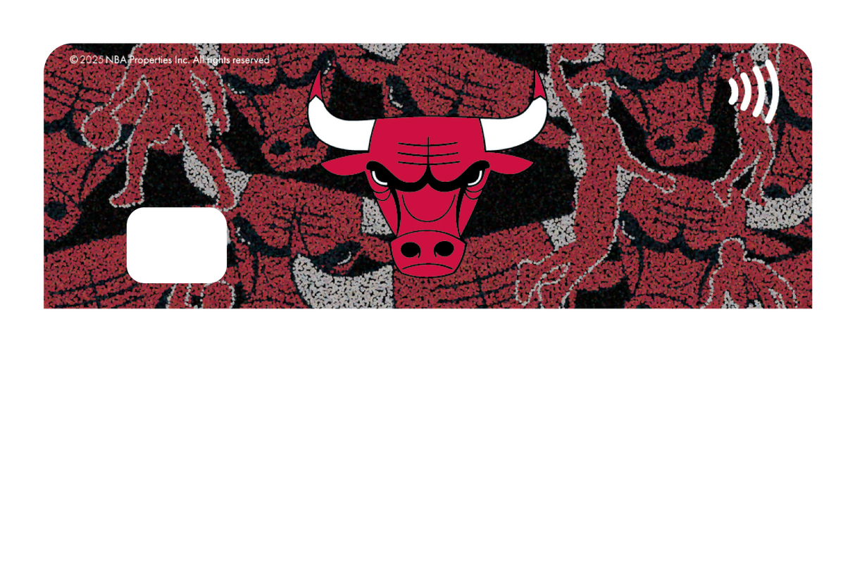 Chicago Bulls: Hoop Dreams