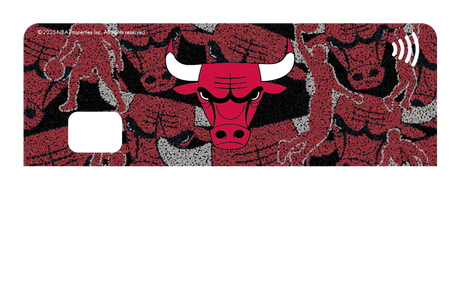 Chicago Bulls: Hoop Dreams
