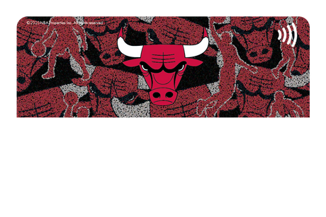 Chicago Bulls: Hoop Dreams
