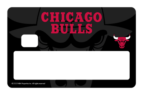 Chicago Bulls: Legacy