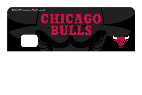Chicago Bulls: Legacy
