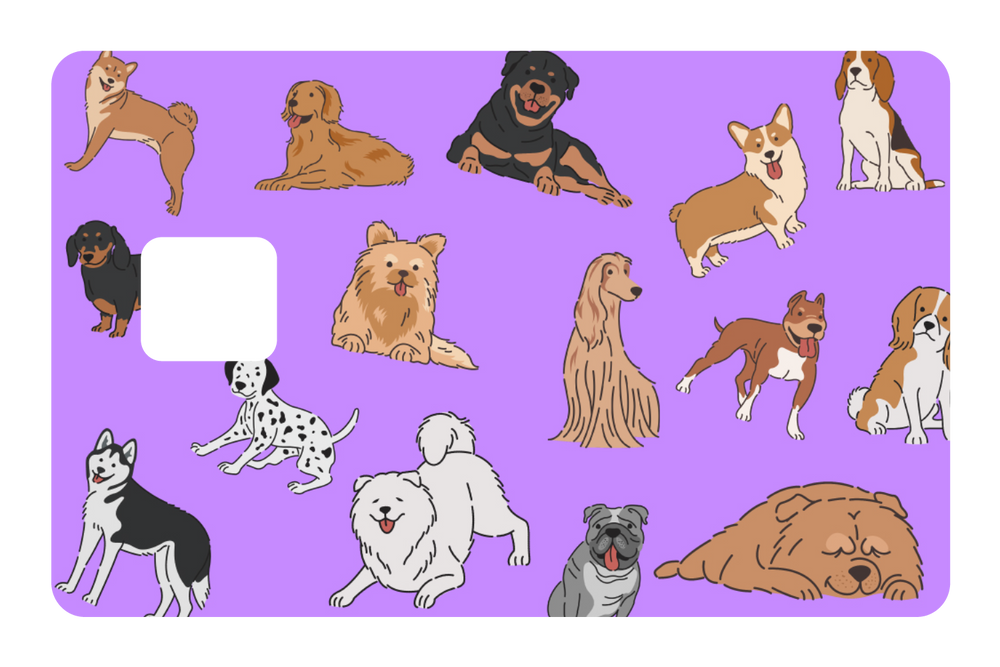 All Dogs