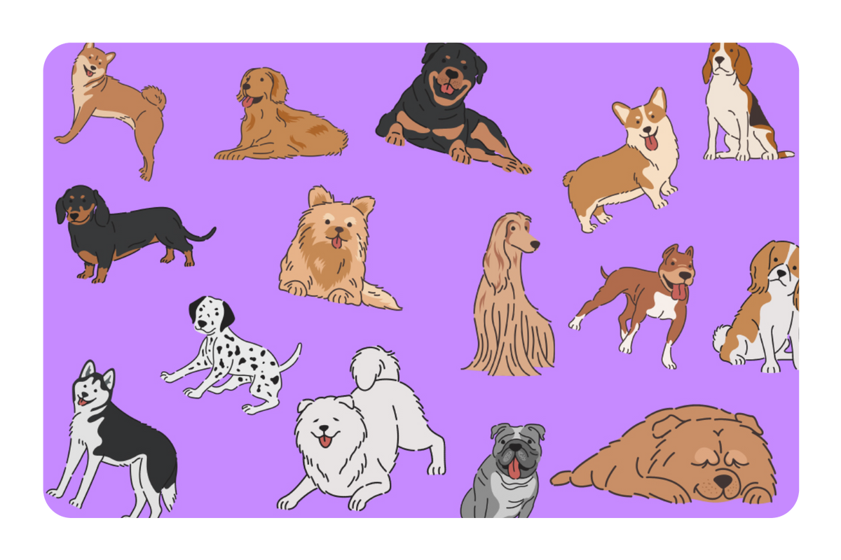 All Dogs