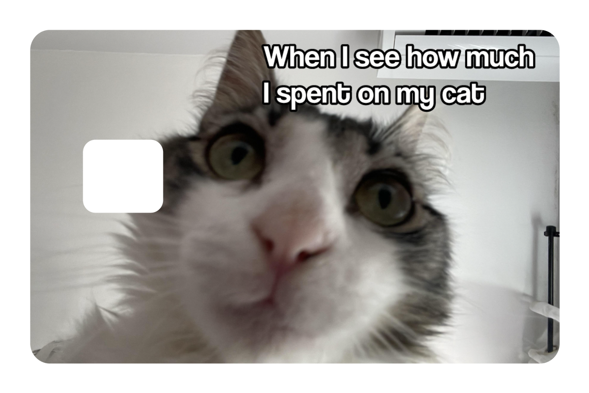 Spent On My Cat