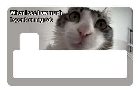 Spent On My Cat