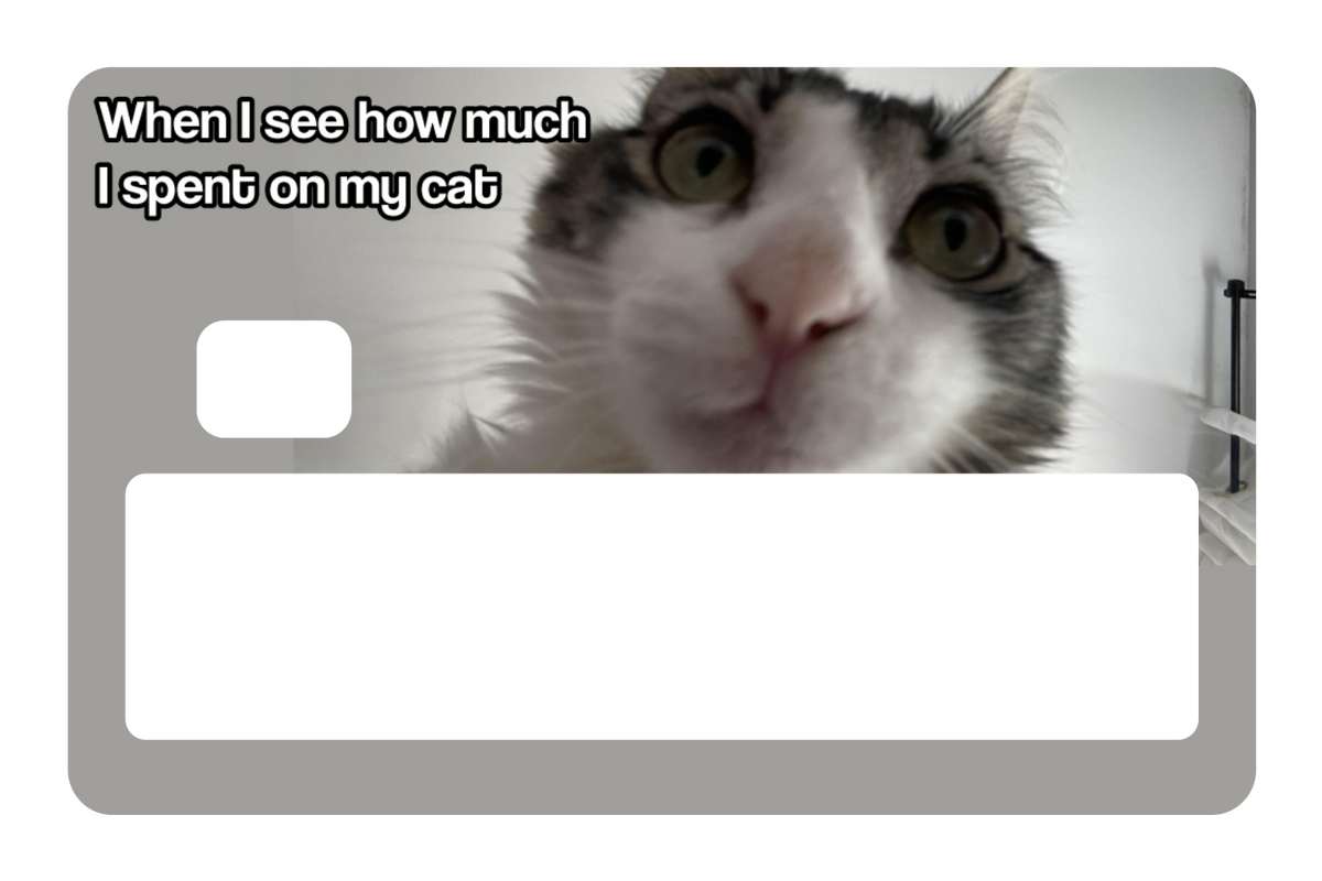Spent On My Cat