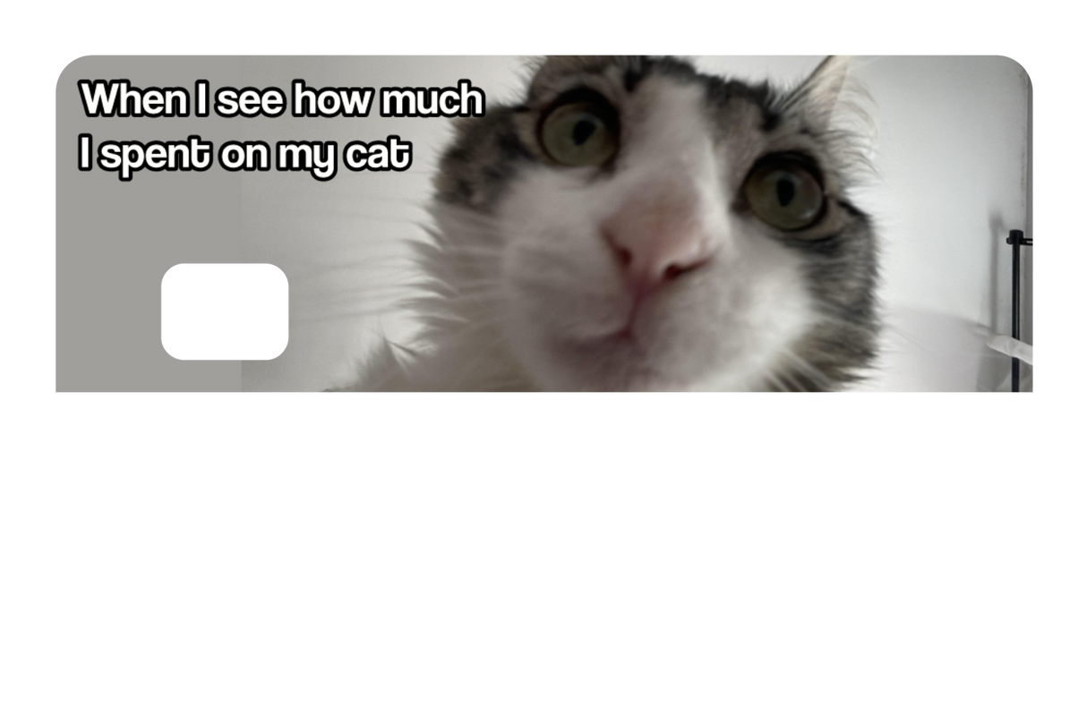 Spent On My Cat