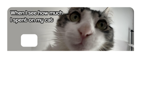 Spent On My Cat