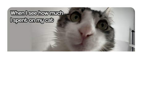 Spent On My Cat