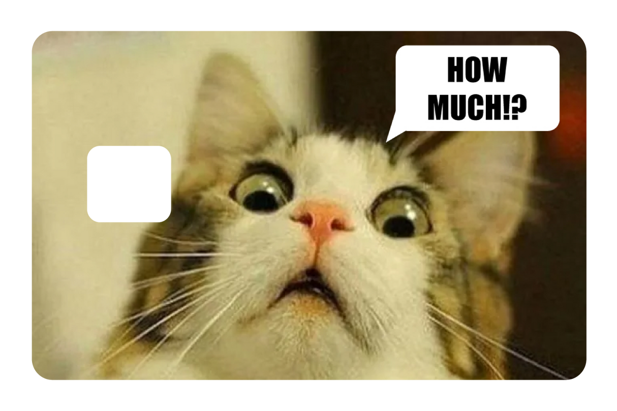 How Much!?