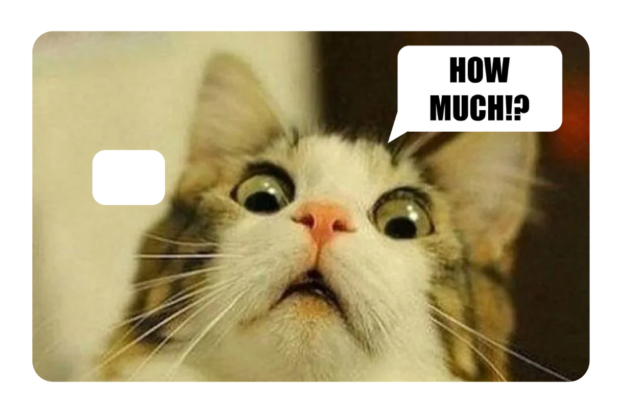 How Much!?