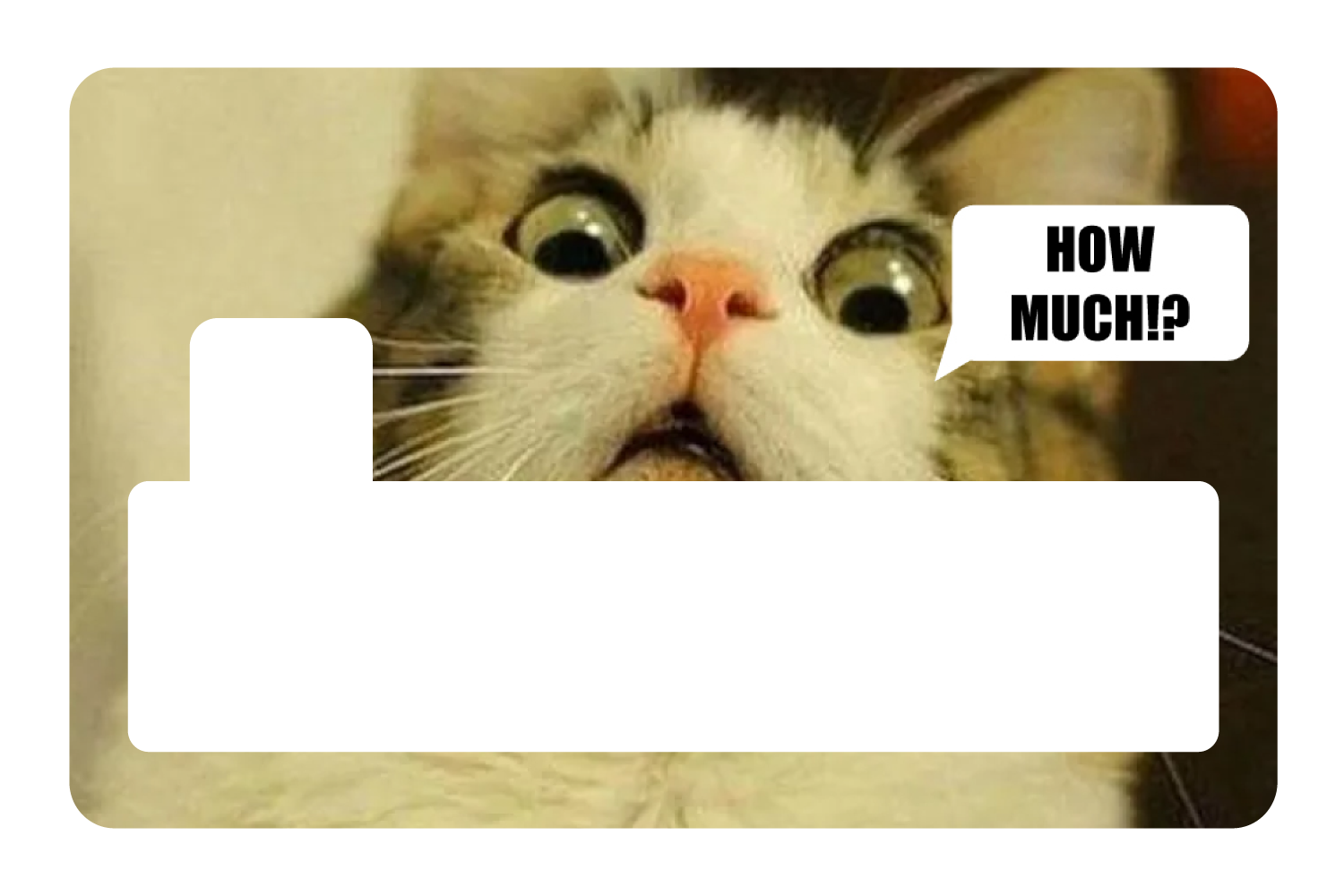 How Much!?