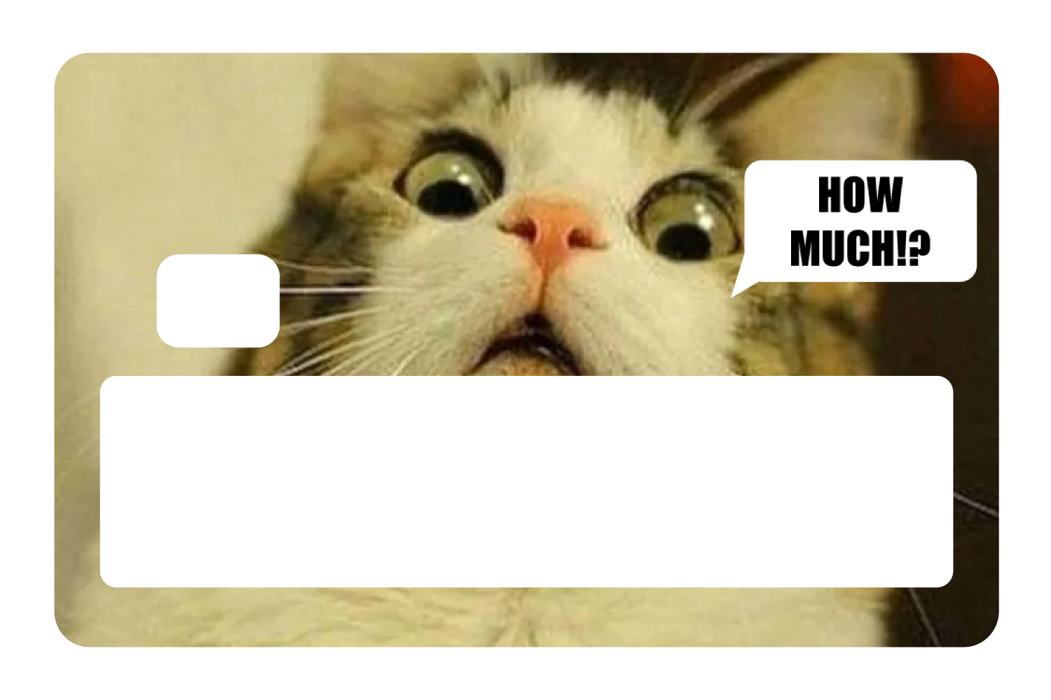 How Much!?