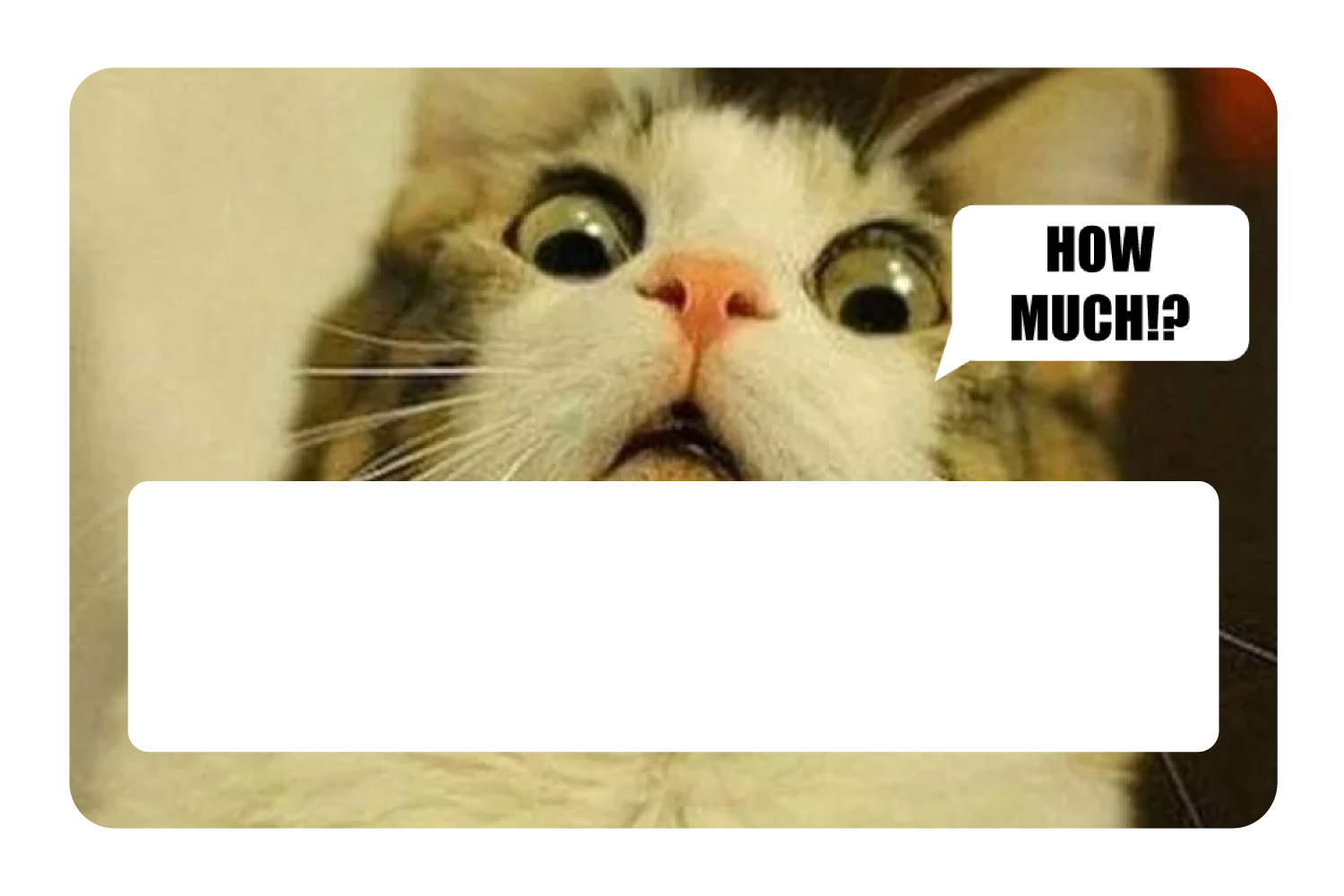 How Much!?