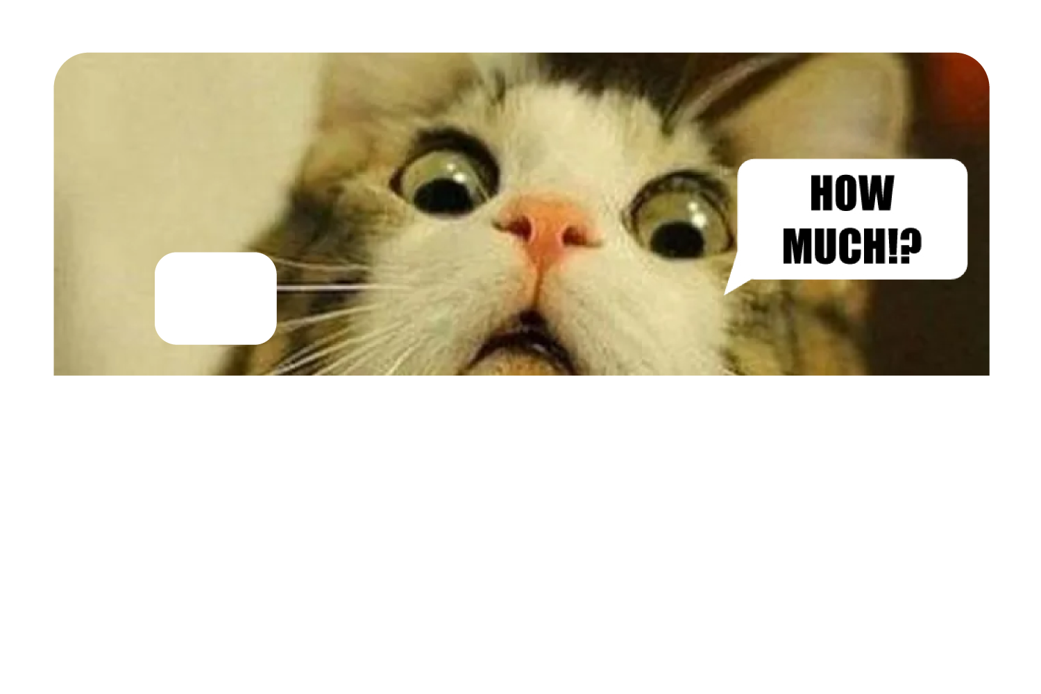 How Much!?